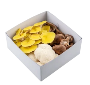 MixBox