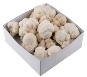 Hericium Box